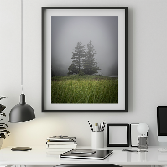 Two Trees in the Fog | Bar Harbor Maine Coastal Landscape Fine Art Photography Print