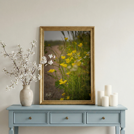 Wild buttercups | Bar Harbor Maine Coastal Landscape Fine Art Photography Print