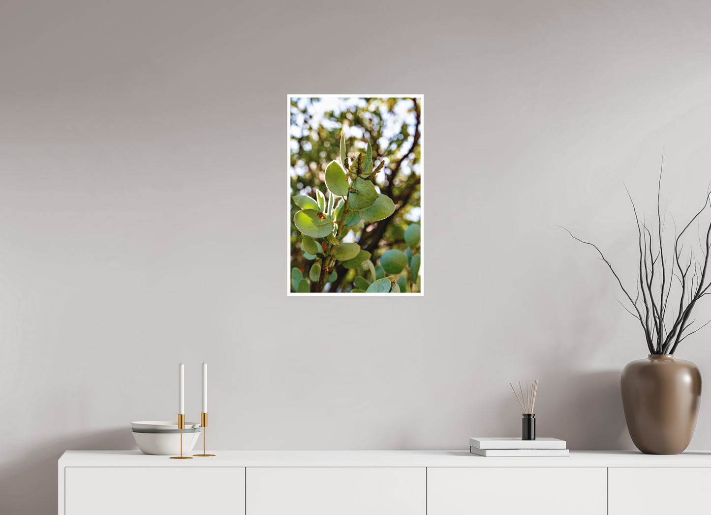 16 x 24″, Matte Prints for shopfy Close Up Manzanita Tree – Yosemite National Park Fine Art Print | Nature Photography Wall Décor