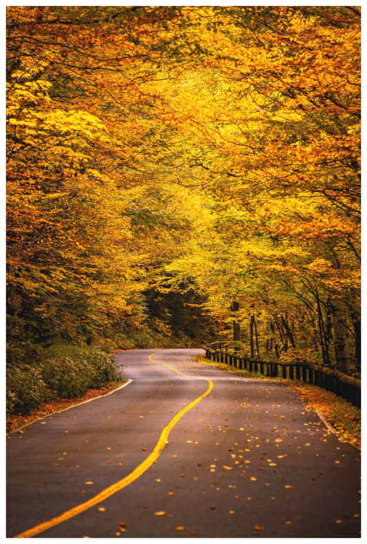 Main image Mount Greylock Auto Road – Fall Foliage Western Massachusetts Fine Art Print | New England Autumn Photography Wall Art