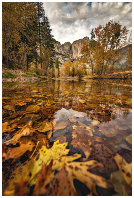 Main image Yosemite Reflections in Fall Foliage – November Fine Art Print | National Park Autumn Photography Wall Art