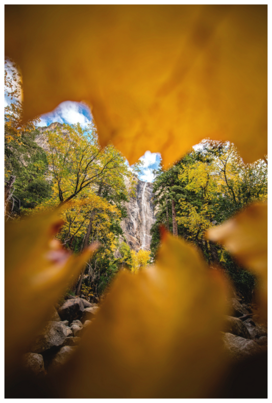 Main image Yosemite Falls Through Autumn Leaves – National Park Fine Art Print | Fall Foliage Waterfall Photography Wall Art