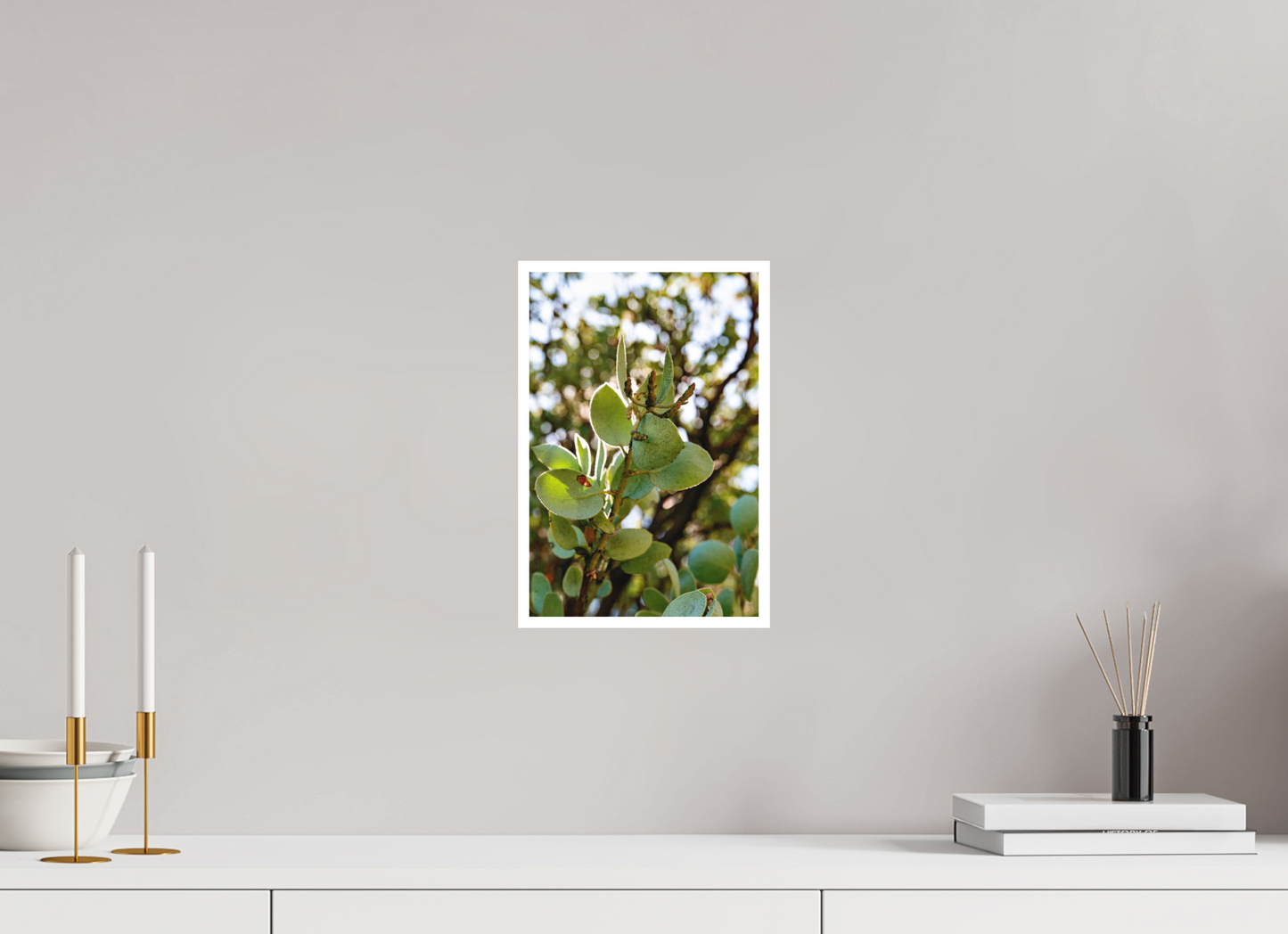 8 x 12″, Matte Prints for shopfy Close Up Manzanita Tree – Yosemite National Park Fine Art Print | Nature Photography Wall Décor