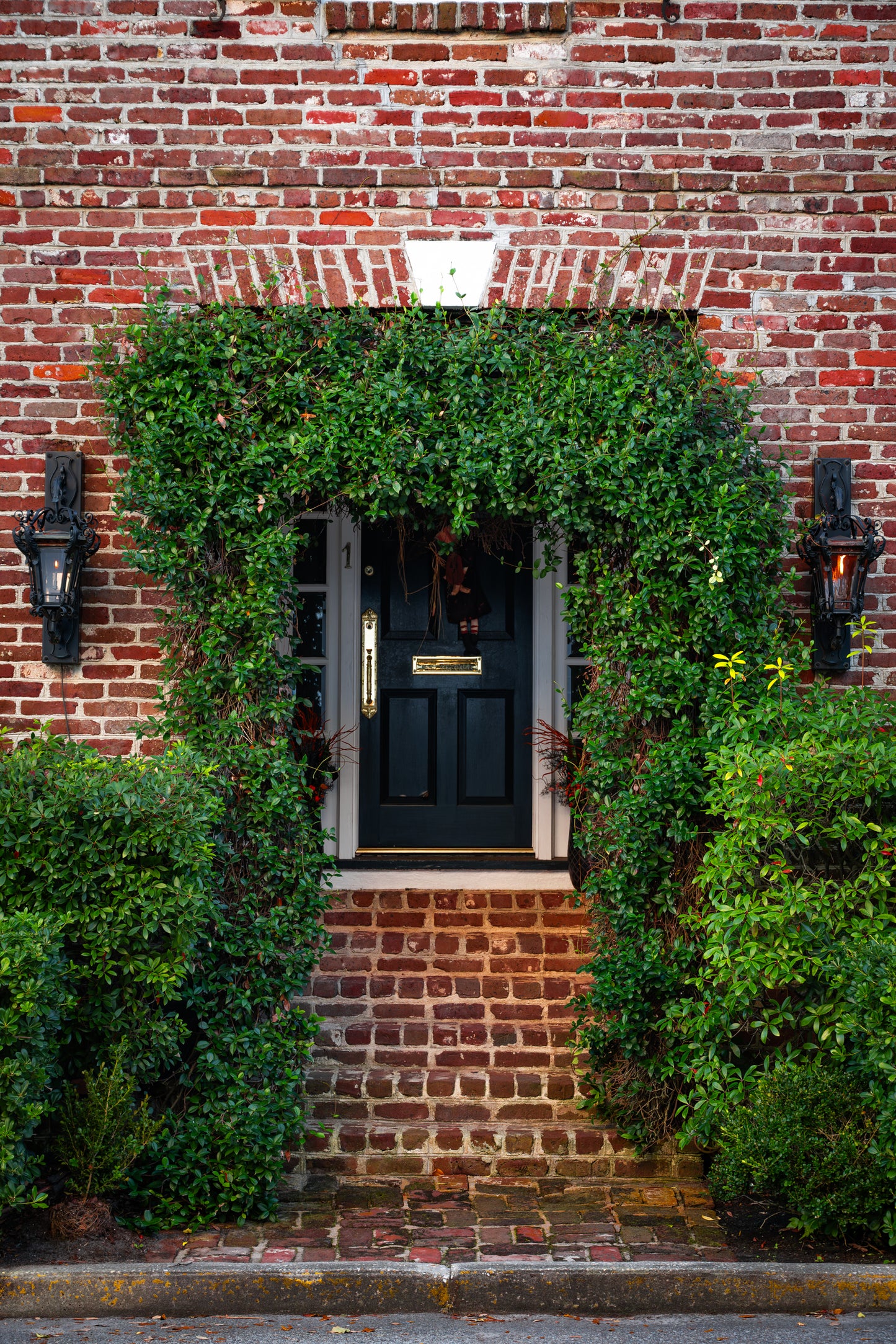 Charleston Ivy Covered Brick Passat Door | SOUTH CAROLINA - Landscape Fine Art Photography Print
