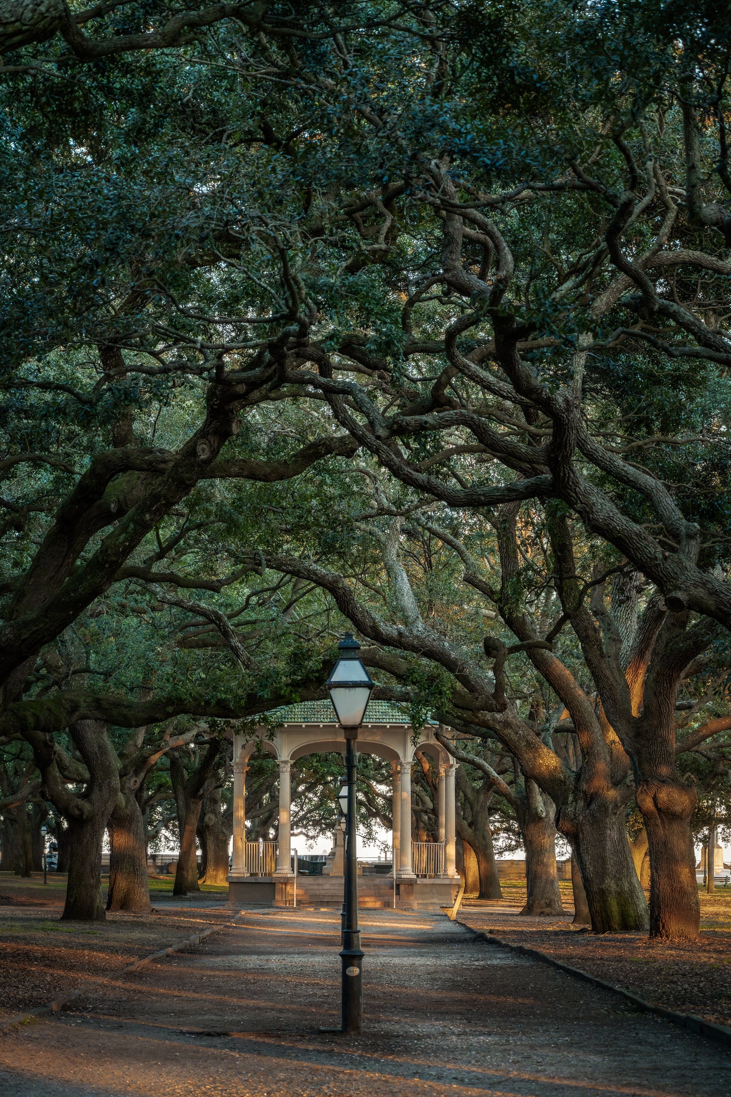 White Point Garden  | SOUTH CAROLINA - Landscape Fine Art Photography Print