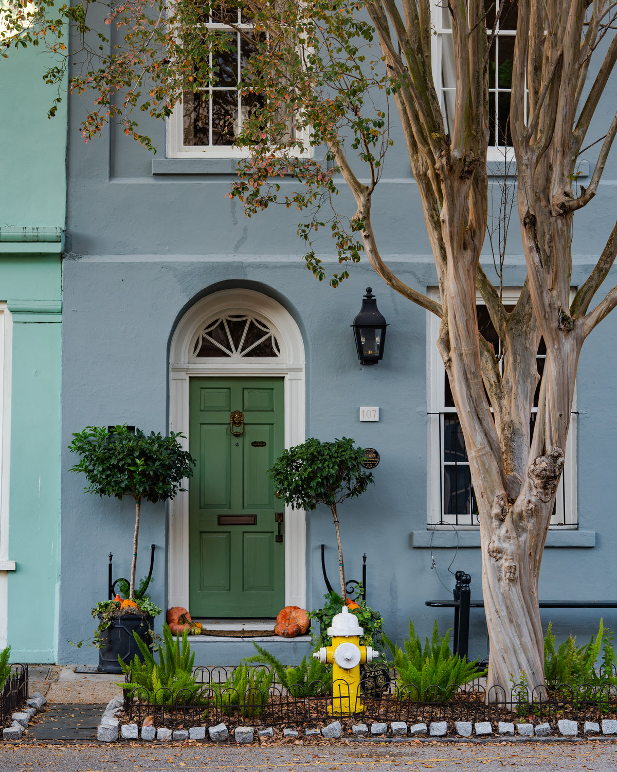 GREEN DOOR AND YELLOW FIRE HYDRANT  | SOUTH CAROLINA - Landscape Fine Art Photography Print