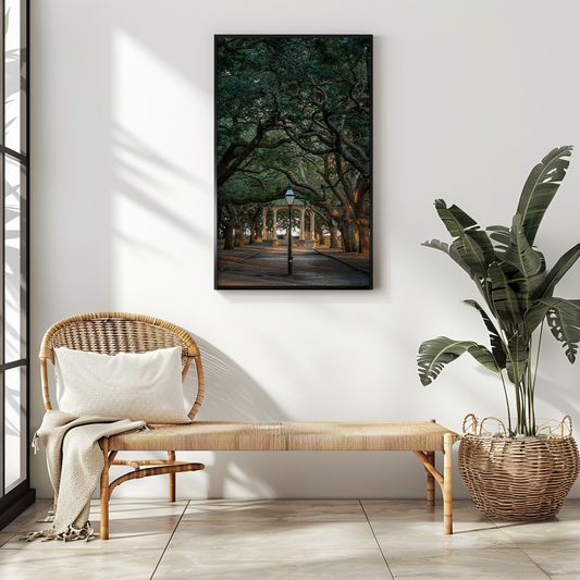 White Point Garden  | SOUTH CAROLINA - Landscape Fine Art Photography Print
