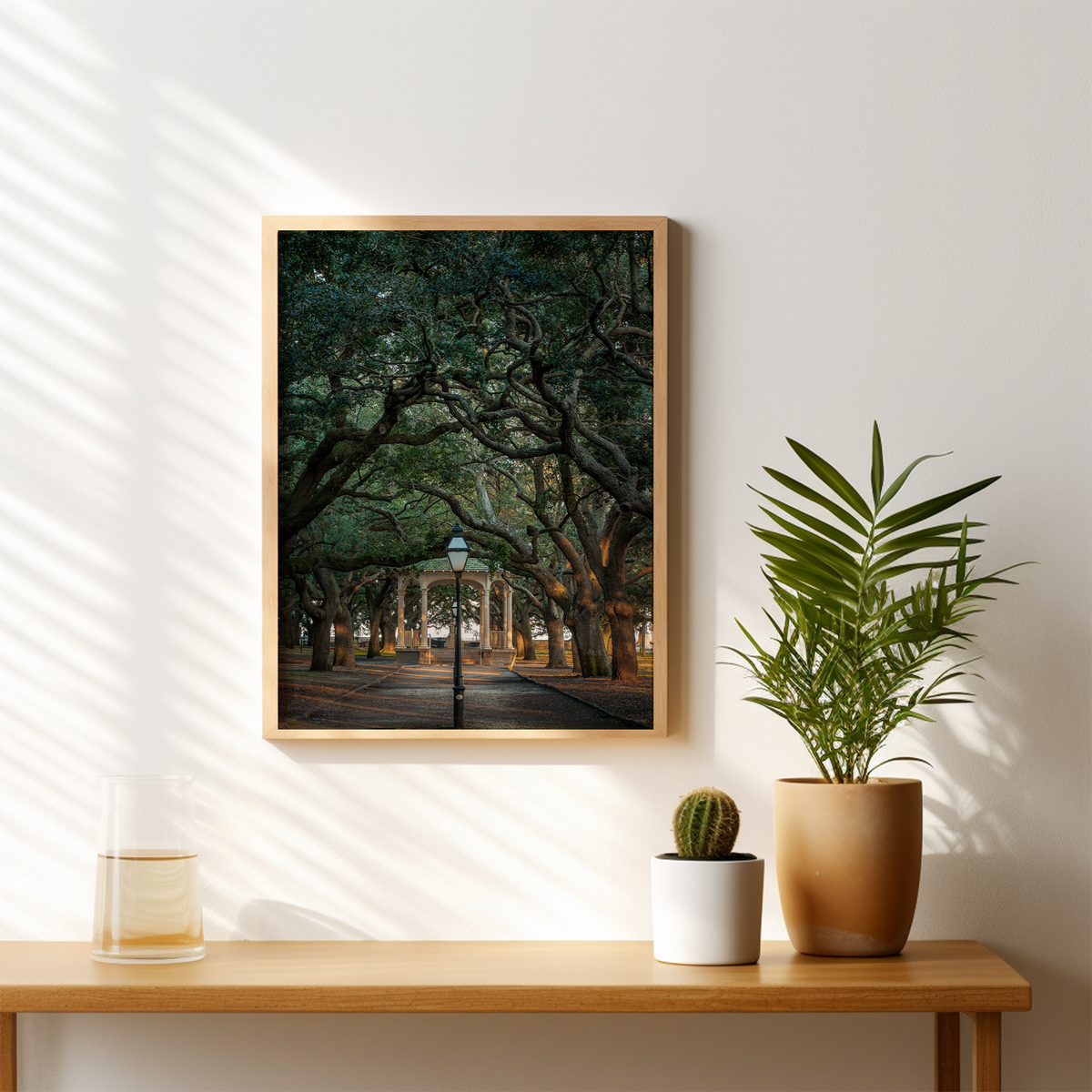 White Point Garden  | SOUTH CAROLINA - Landscape Fine Art Photography Print