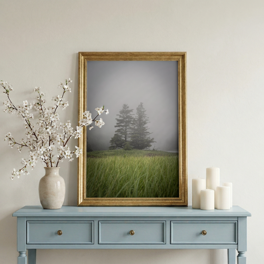Two Trees in the Fog | Bar Harbor Maine Coastal Landscape Fine Art Photography Print