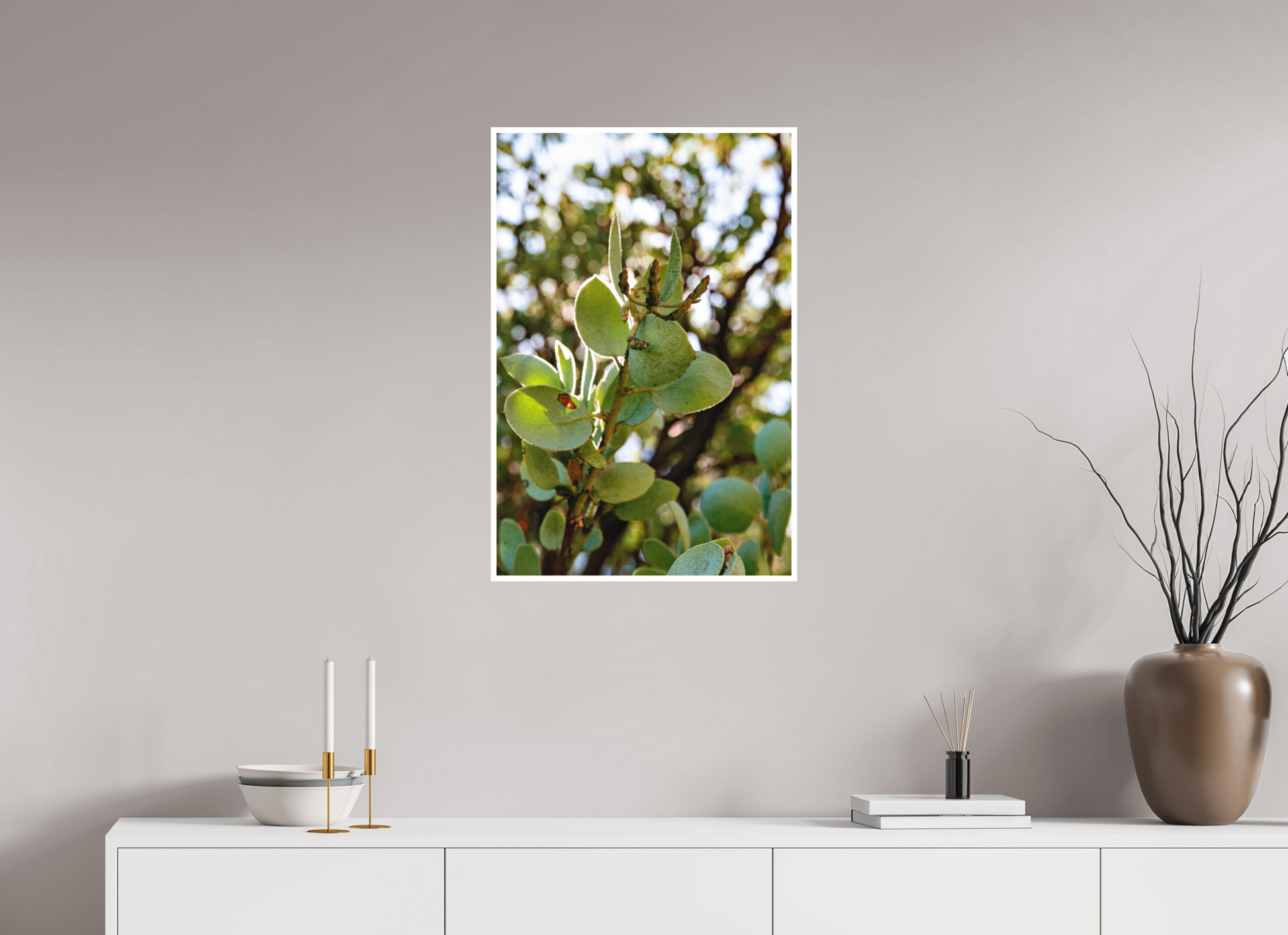 20 x 30″, Matte Prints for shopfy Close Up Manzanita Tree – Yosemite National Park Fine Art Print | Nature Photography Wall Décor