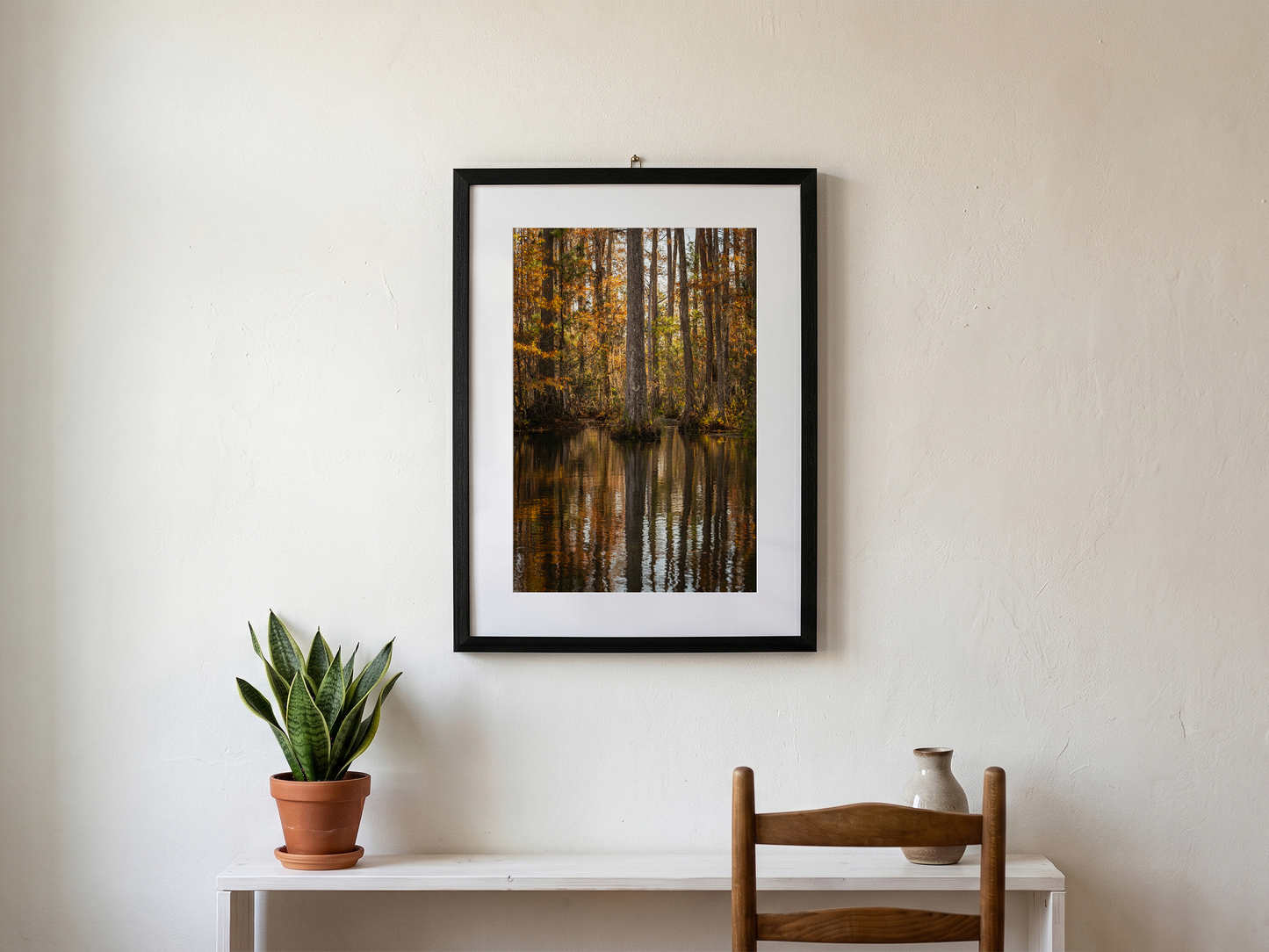 CYBERPRESS SWAMP  | SOUTH CAROLINA - Landscape Fine Art Photography Print