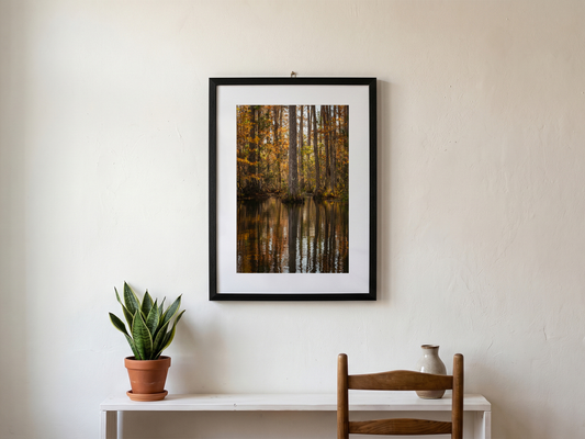 CYBERPRESS SWAMP  | SOUTH CAROLINA - Landscape Fine Art Photography Print